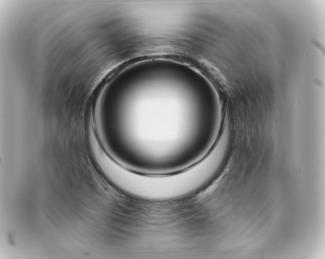 X0000094361457200711021500