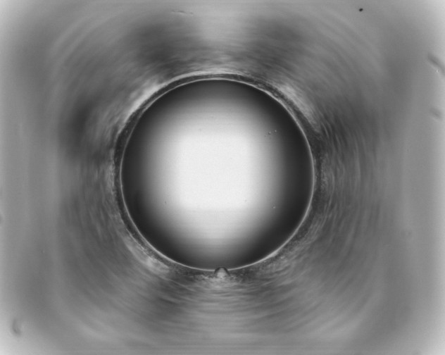 X0000094361460200711021500