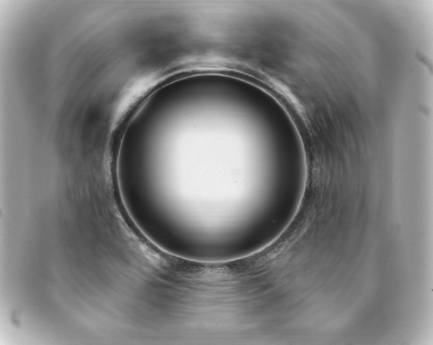 X0000094361464200711021500