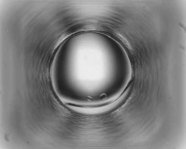 X0000094361465200711021500