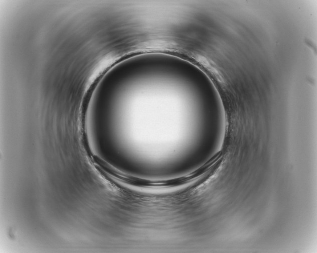 X0000094361469200711021500