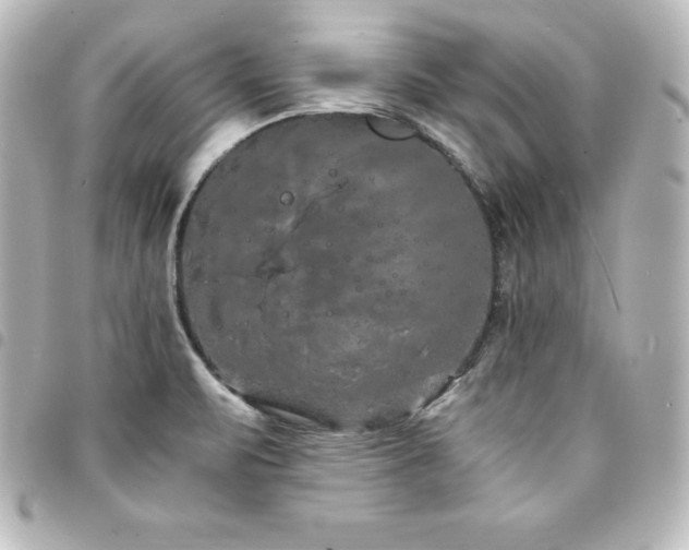 X0000094361471200711021500