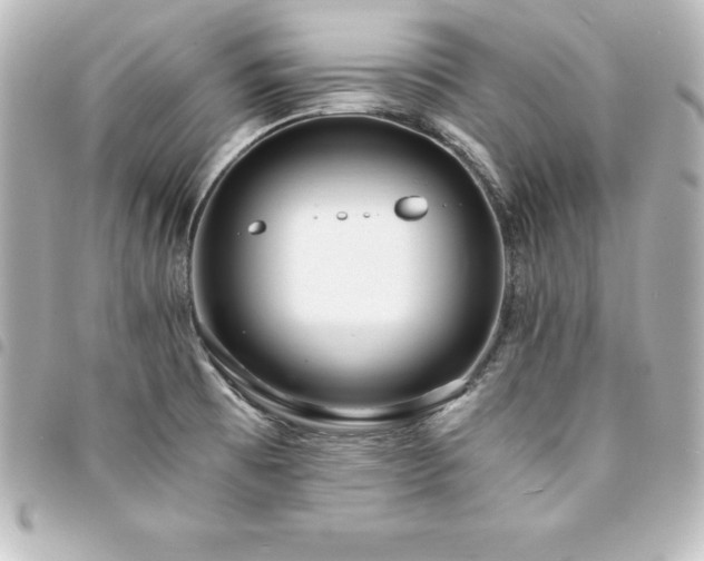 X0000094361473200711021500