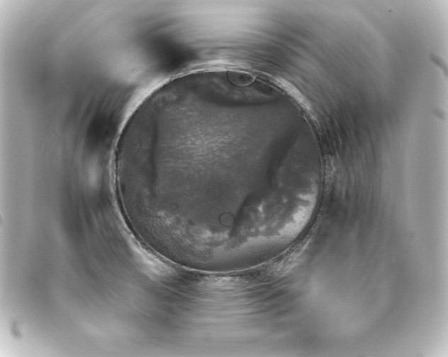 X0000094361474200711021500
