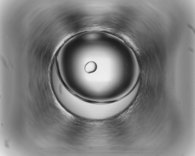 X0000094361476200711021500