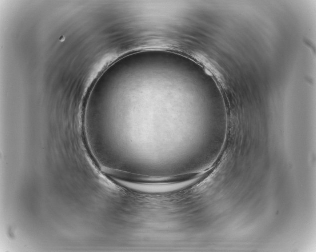 X0000094361477200711021500