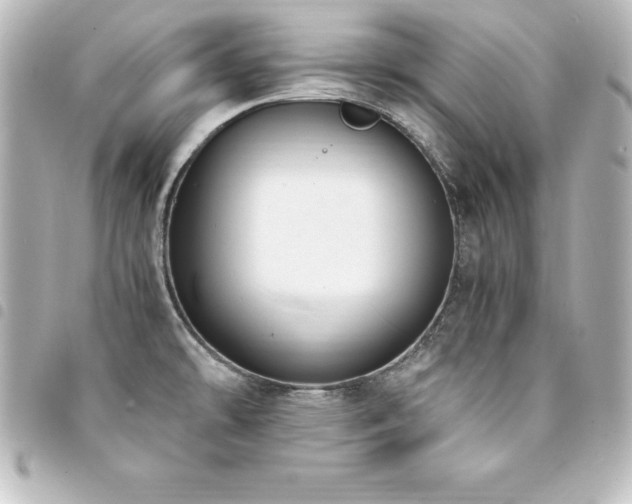 X0000094361478200711021500