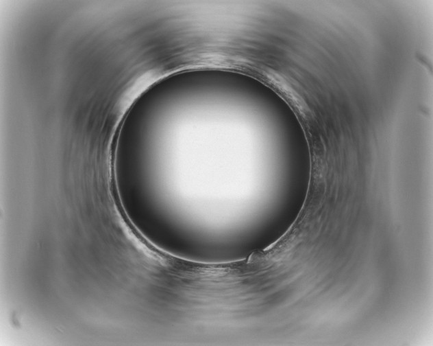 X0000094361479200711021459