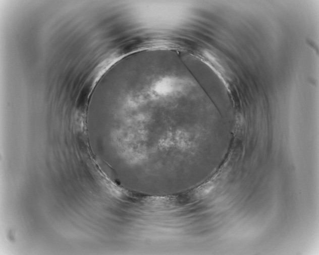 X0000094361481200711021459