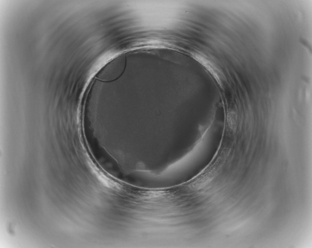X0000094361482200711021459
