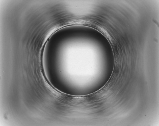 X0000094361483200711021459