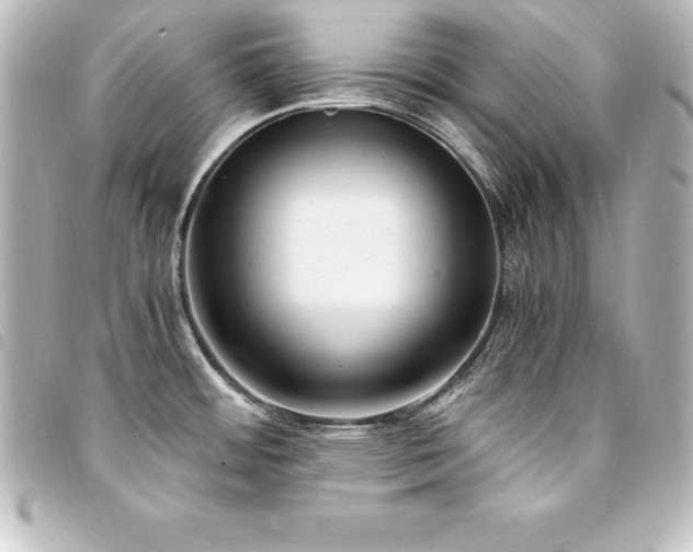 X0000094361484200711021459