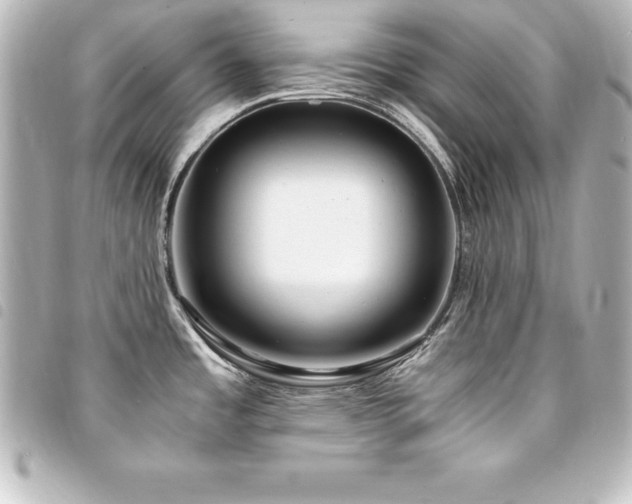 X0000094361485200711021459
