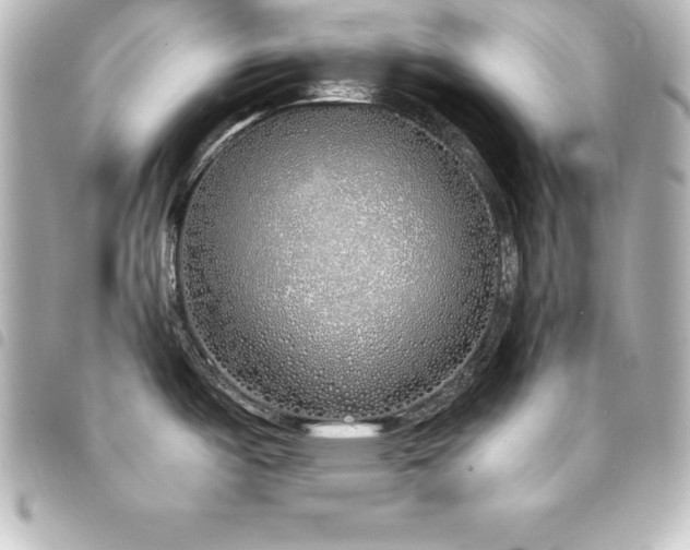 X0000094361487200711021459