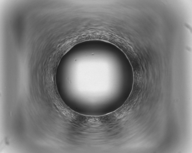 X0000094361489200711021459
