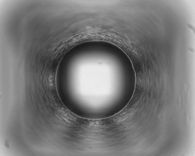X0000094361490200711021459