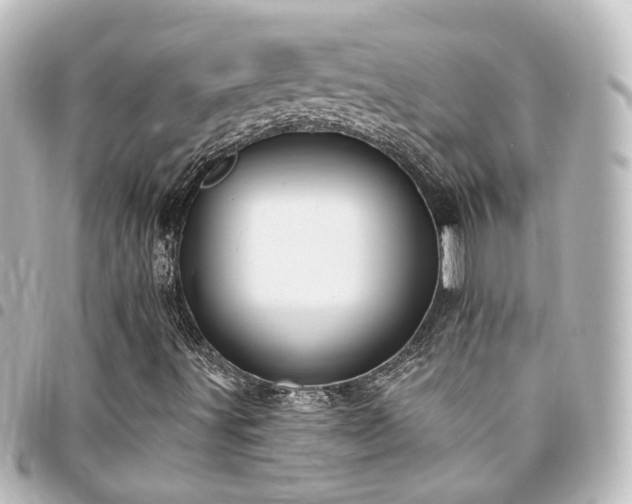 X0000094361491200711021459