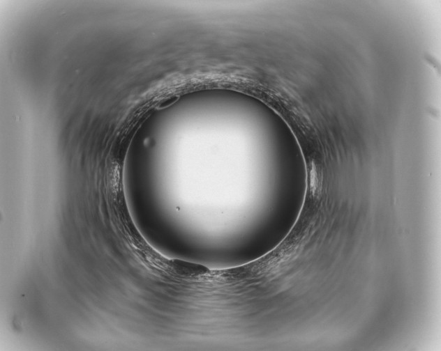 X0000094361492200711021459