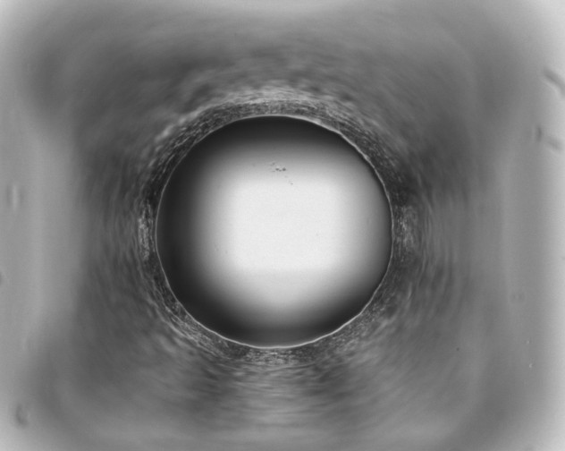 X0000094361493200711021459