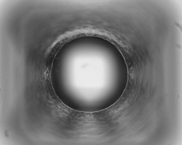 X0000094361495200711021459