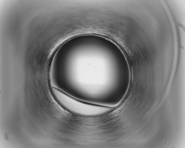 X0000094361500200711021459