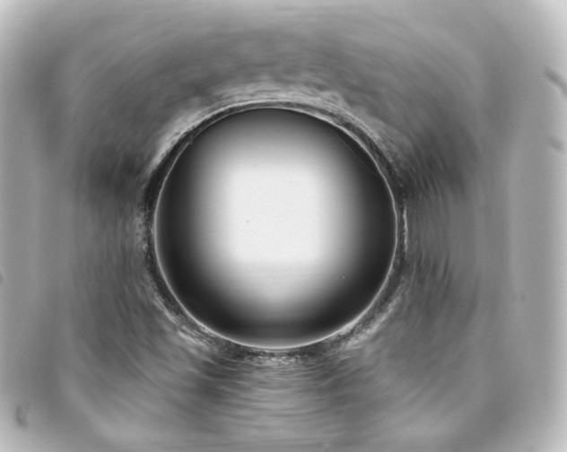 X0000094361501200711021459