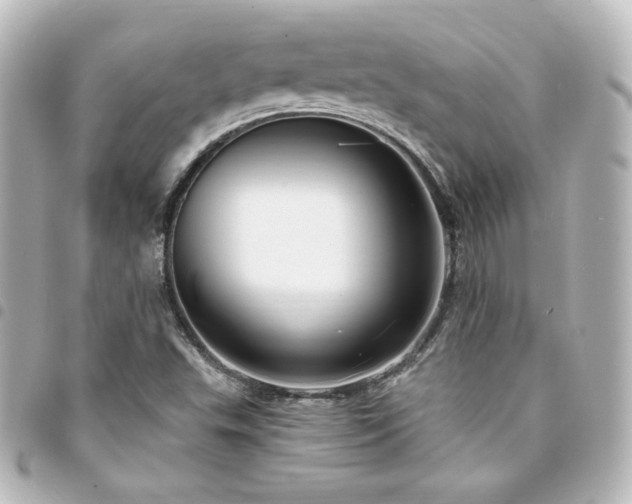 X0000094361503200711021459
