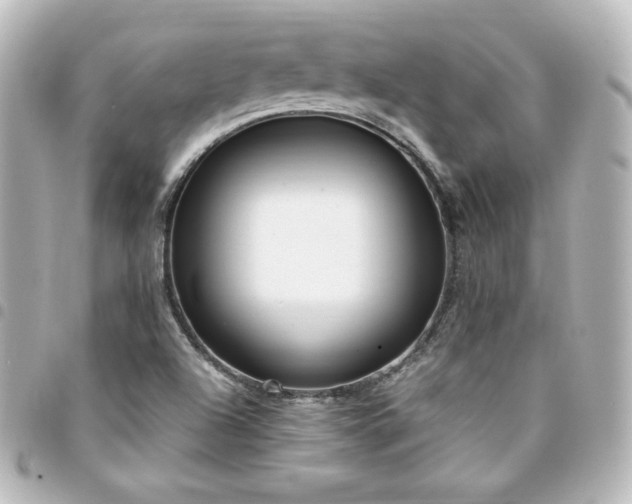 X0000094361504200711021459