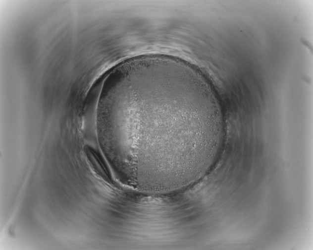 X0000094361505200711021459