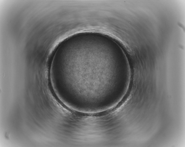 X0000094361506200711021459