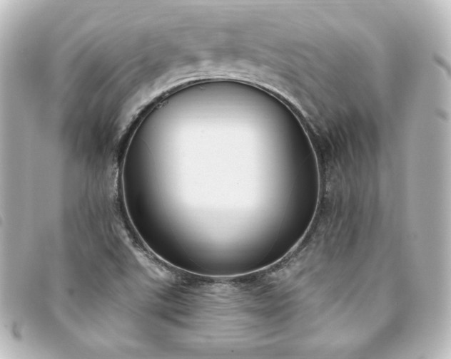 X0000094361507200711021459