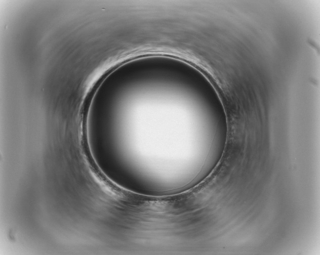 X0000094361511200711021459