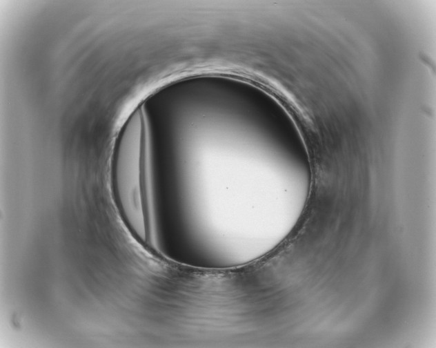 X0000094361512200711021459