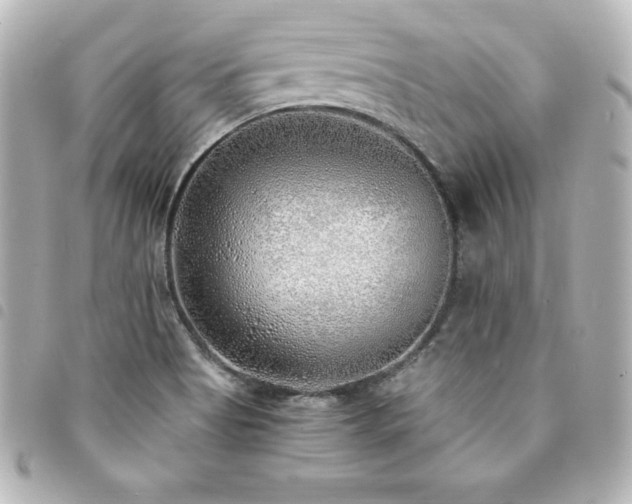 X0000094361513200711021459
