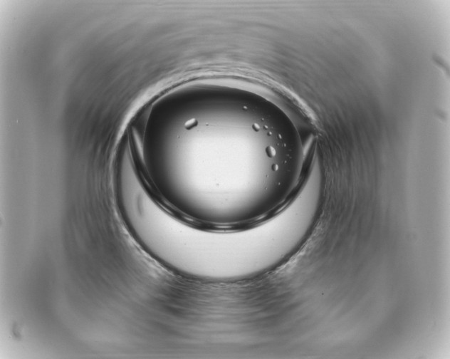X0000094361514200711021459