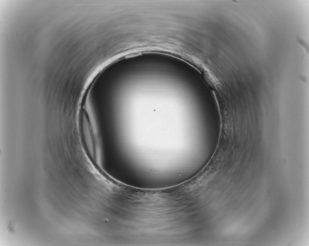 X0000094361516200711021459