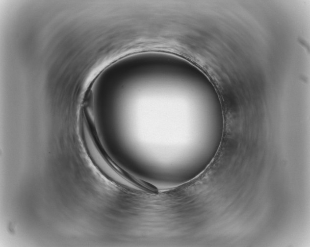 X0000094361520200711021459