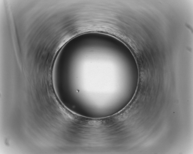 X0000094361521200711021459