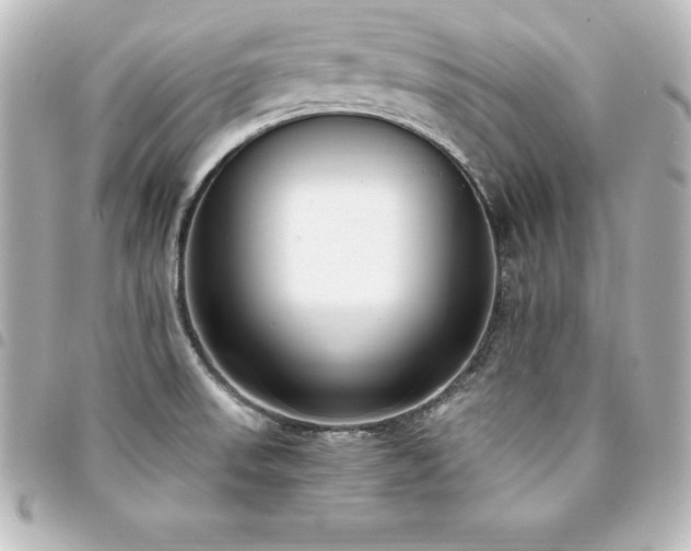 X0000094361523200711021459