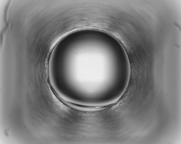 X0000094361524200711021459