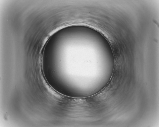 X0000094361526200711021459