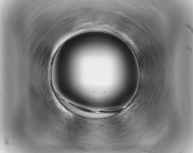 X0000094361528200711021459