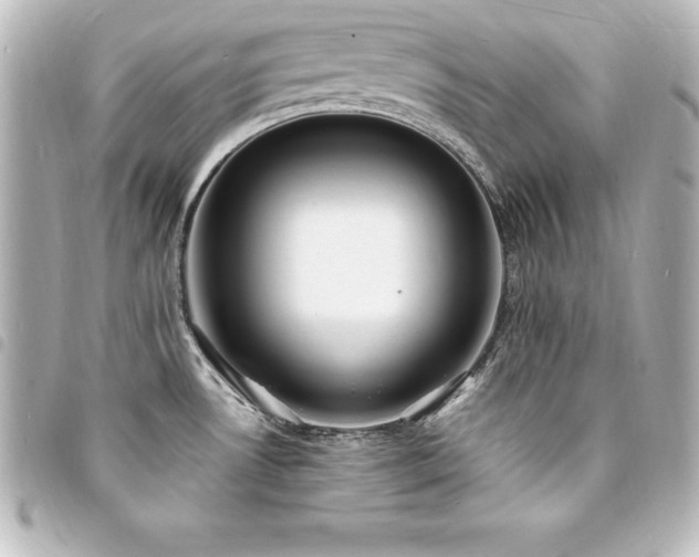 X0000094361530200711021459