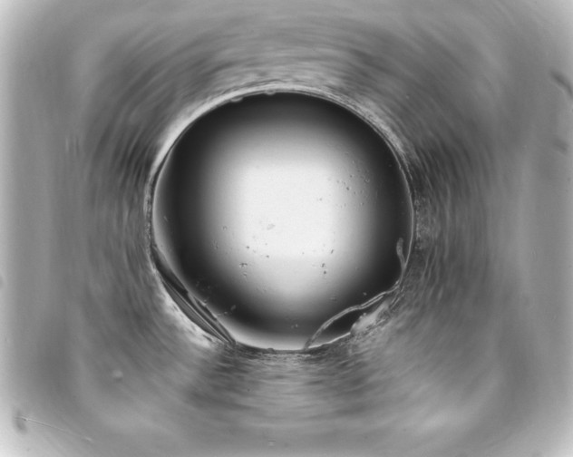 X0000094361532200711021459