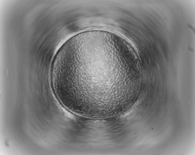 X0000094361533200711021459
