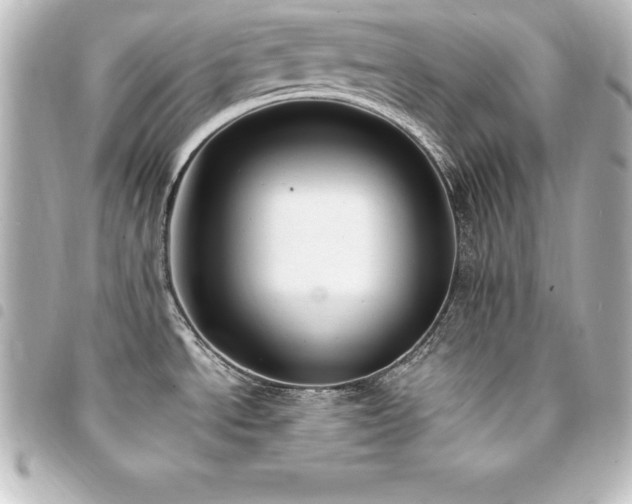 X0000094361534200711021459