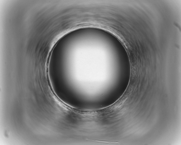 X0000094361535200711021459
