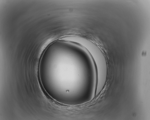 X0000094360003200711091525