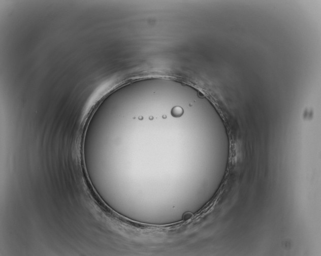 X0000094360004200711091525