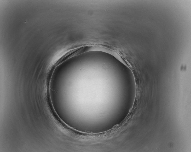 X0000094360005200711091525